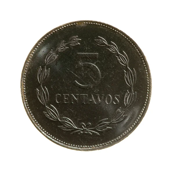 Metal coins five centavos Salvador isolated on white background — Stock Photo, Image