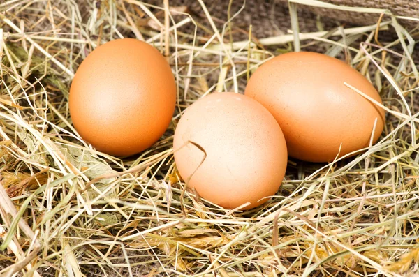 Easter eggs on a wooden table. — Stock Photo, Image