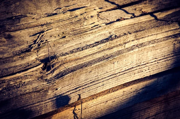 Natural wooden texture. — Stock Photo, Image