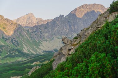 Yaz dağı manzarası. 