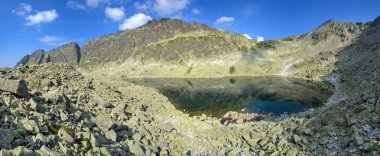 Panorama. Yaz dağ manzarası. 
