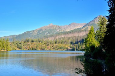 Yaz dağı manzarası. 