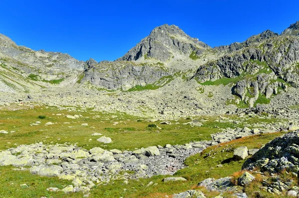 Verão paisagem de montanha. — Fotografia de Stock