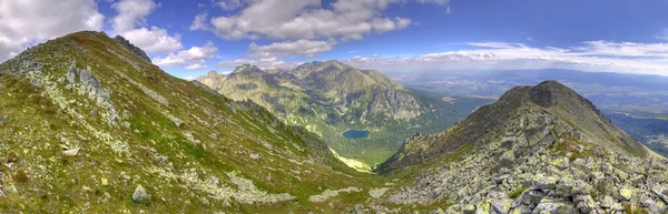 Paysage de montagne d'été dans une photographie panoramique . — Photo