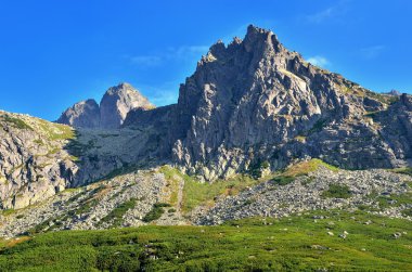 Yaz dağı manzarası. 