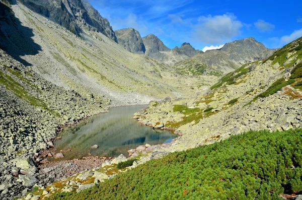 Letni krajobraz górski. — Zdjęcie stockowe