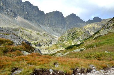 Yaz dağı manzarası. 