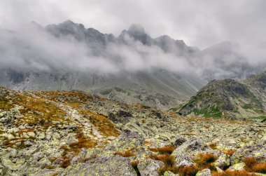 Bulutlu dağ manzarası. 