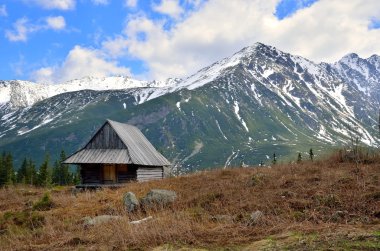 bahar dağ manzarası. 