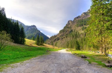 bahar dağ manzarası. 