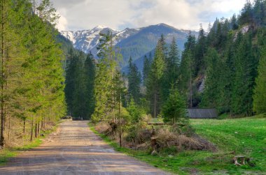 bahar dağ manzarası. 