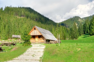 dağlar içinde ahşap kulübe.