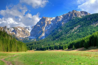 bahar dağ manzarası. 