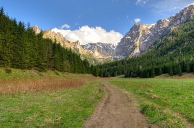 bahar dağ manzarası. 