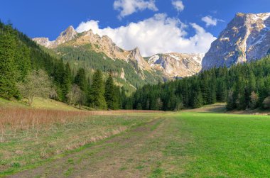 bahar dağ manzarası. 