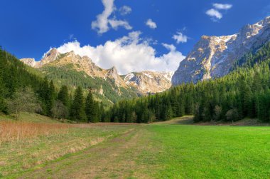Bahar dağ ladnscape. 