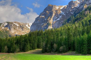 Bahar dağ ladnscape. 