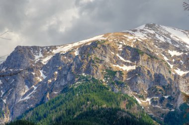 bahar dağ manzarası. 