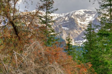 bahar dağ manzarası. 
