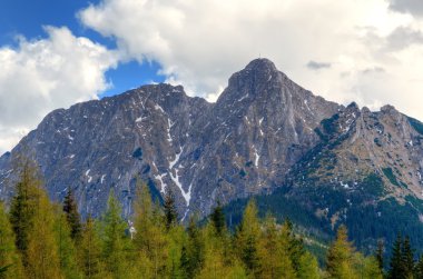bahar dağ manzarası. 