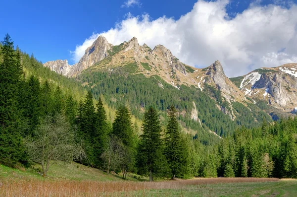 Frühlingsbergkulisse. — Stockfoto