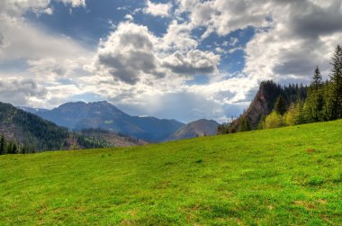 bahar dağ manzarası. 