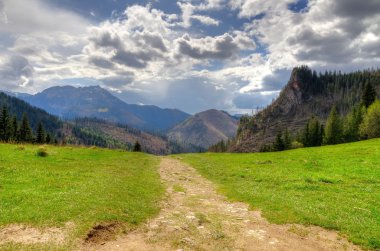 bahar dağ manzarası. 