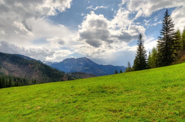 Frühlingshafte Berglandschaft. — Stockfoto