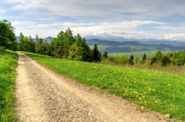 bahar dağ manzarası. 