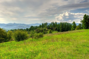 bahar dağ manzarası. 