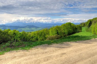 bahar dağ manzarası. 