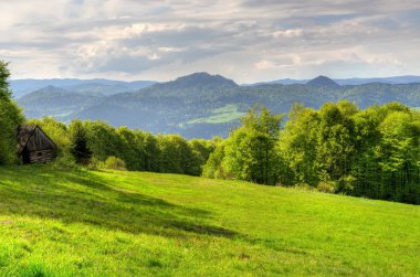 bahar dağ manzarası. 