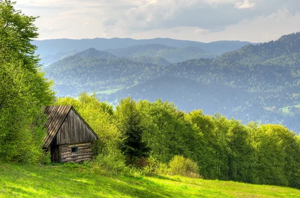 Lente berglandschap. — Stockfoto