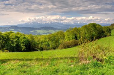 bahar dağ manzarası. 