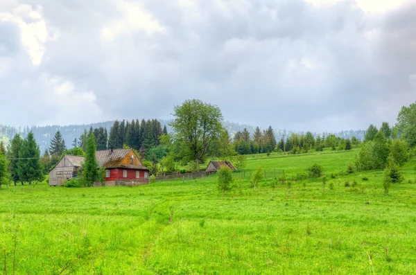 Countryside landscape in spring season.