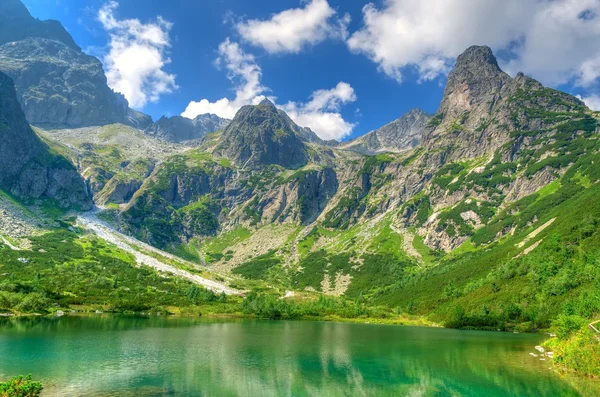 Summer landscape. Lake in mountains.