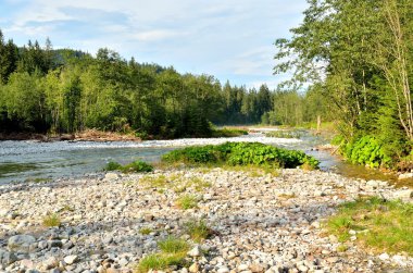 Yaz dağı manzarası.