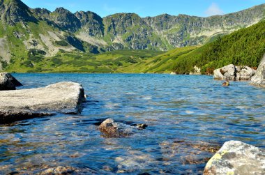 Yaz dağı manzarası.