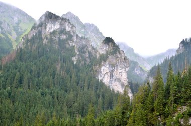 Bulutlu dağ manzarası.