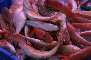 Balık pazarında balık.