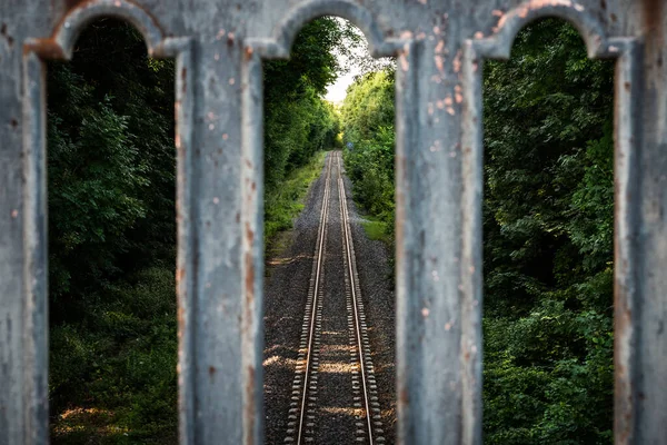 Fransız ormanındaki seraya giden tren yolu.