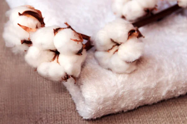 Cotton Flower Towel Cloth Backgroun Royalty Free Φωτογραφίες Αρχείου