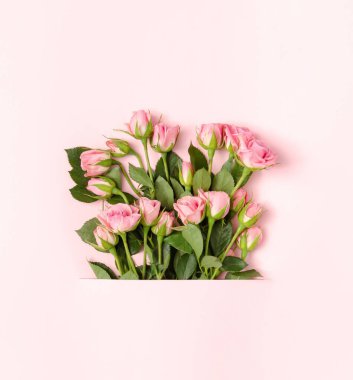 Pastel arka plandan çıkan pembe gül buketli bahar konsepti. Üst görünüm bileşimi.