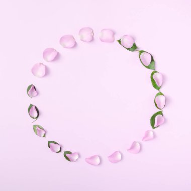 Yumuşak pembe gül yaprakları ve pastel pembe arka planda yeşil yapraklardan oluşan bahar düzeni. Asgari doğa geçmişi. Düz yatıyordu.