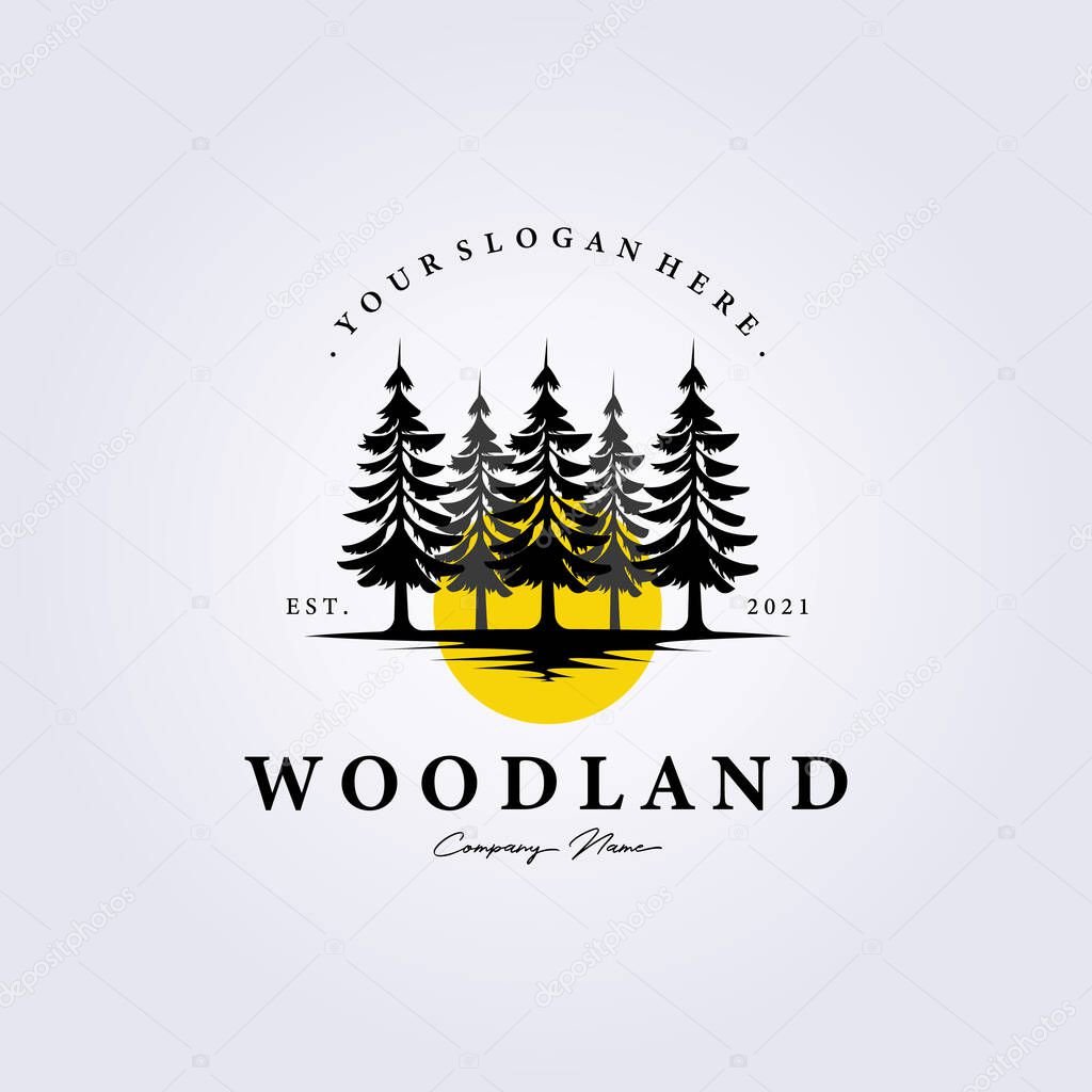 Pine, evergreen, Rustic woodland logo Vintage retro fir, hemlock, spruce, conifer, cedar, coniferous, cypress, larch, pinus trees logo vector illustration icon symbol background label template design
