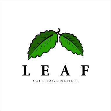 Yaprak vintage logo vektör çizimi tasarımı