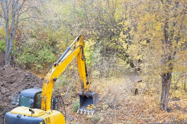 Ağaçlar ve çalılarla çevrili bir inşaat alanında hareket halinde olan sarı bir kazıcı..