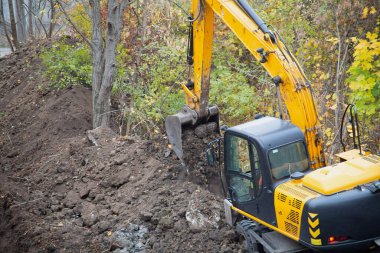 Kazıcı, ağaçlarla çevrili bir inşaat alanındaki toprağı dolduruyor..