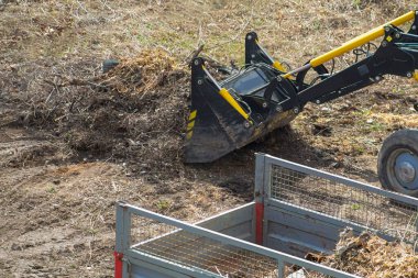 Ağır makineler alanı ahşap kalıntılarından temizlemeye çalışıyor, yeni projeler için koşullar yaratıyor. Peyzaj için makine işi..