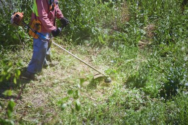 Tulumlu ve koruyucu tulumlu bir bahçıvan yaz sıcağında çim biçme makinesiyle uzun yeşil çimenleri kesiyor.